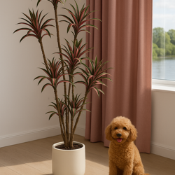 Yucca- 'pink slipper' 2m with 15 heads - artificial plants, flowers & trees - image 3